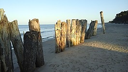 漂流木,鐵砧,樹干