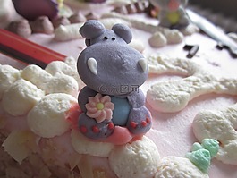 河馬,照片,生日蛋糕