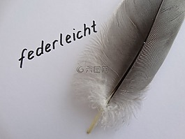 春天,輕量,白