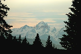 山,雪,樹