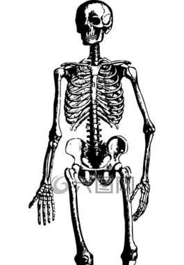 骨架,萬圣節(jié),鬼