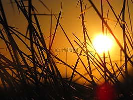 日落,陽(yáng)光,側(cè)影