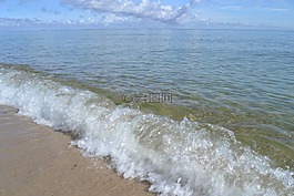 海,海灘,水