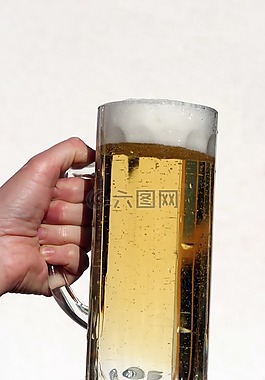 啤酒,大杯啤酒,酒精