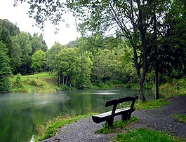 性質(zhì),湖,銀行