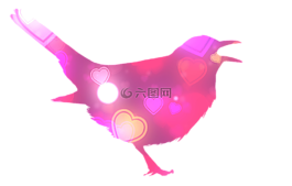 鸟,剪影,动物世界