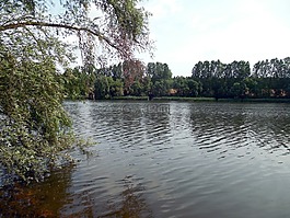湖,水,銀行