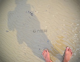 陰影,海灘,腳