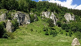 汝拉 krakowsko 琴,岩,波兰