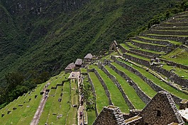 梯田,遺跡,臺階