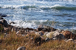 海,波,岸