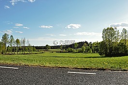 路,床上,草