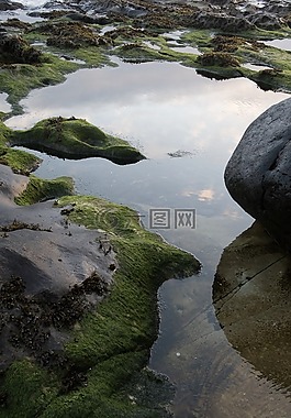 蘇格蘭,水,性質(zhì)