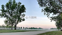 霧,樹,日出