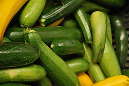 蔬菜,園丁,菜園