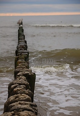 海,海灘,水