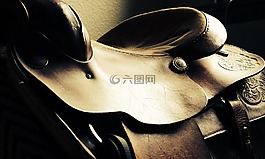 鞍,西方,马