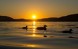 日出,湖,morgenstimmung