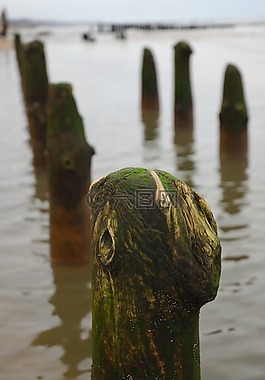 海,防波堤,巖