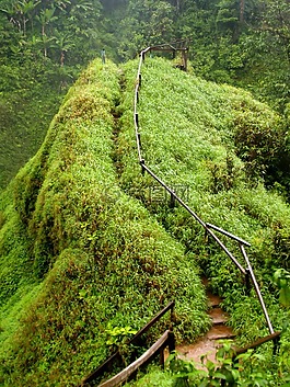 泰國(guó),叢林,緬甸