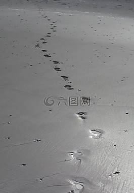 沙,海灘,足跡