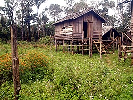 堆住宅,人工岛,棚屋