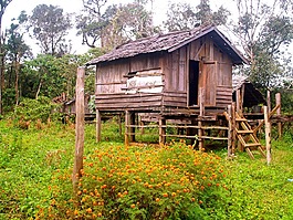 堆住宅,人工岛,棚屋