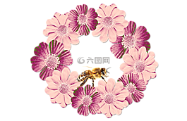 鲜花,花圈,花卉装饰
