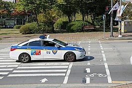 警方,路,汽車