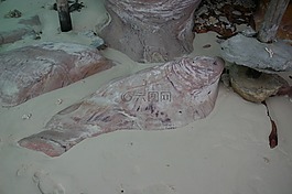 岩,岩层,海滩