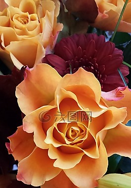 ros,花卉,花束