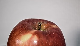 蘋果,水果,紅色