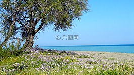 天空,地球,海