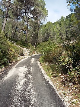 路径,秋天,ceyreste