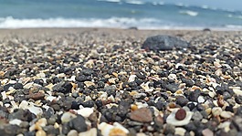海灘,鵝卵石,海