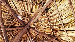 沙灘小屋,小屋,屋頂