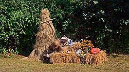 收获,丰年祭,感恩节