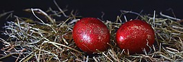 復(fù)活節(jié)彩蛋,復(fù)活節(jié),蛋