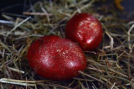 復(fù)活節(jié)彩蛋,復(fù)活節(jié),蛋
