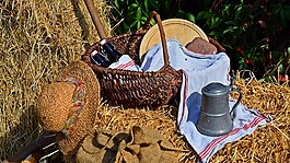 收获,丰年祭,感恩节