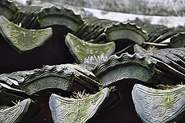 瓦片,綠植,滴水