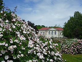 玫瑰花園,轉(zhuǎn)輪玫瑰,建筑