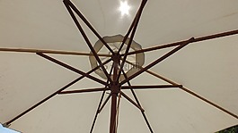 傘,白,太陽