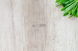 木材,表,草本植物