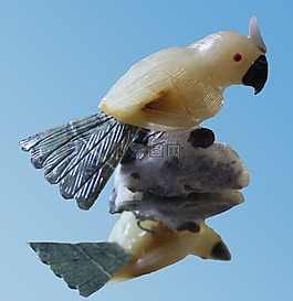鳥,創業板,礦物質