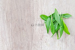 木材,表,草本植物