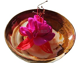 殼,開花,裝飾