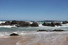 海灘,海,沖浪