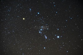 獵戶座,夜,害羞