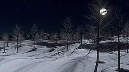 雪,夜,月亮